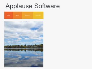 Applause TM Software, a Visual DataFlex Consultancy