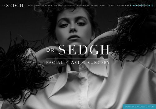 Facial Plastic Surgeon West Hollywood | Sedgh Facial Plastic Surgery